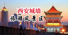 极品翘臀插逼中国陕西-西安城墙旅游风景区